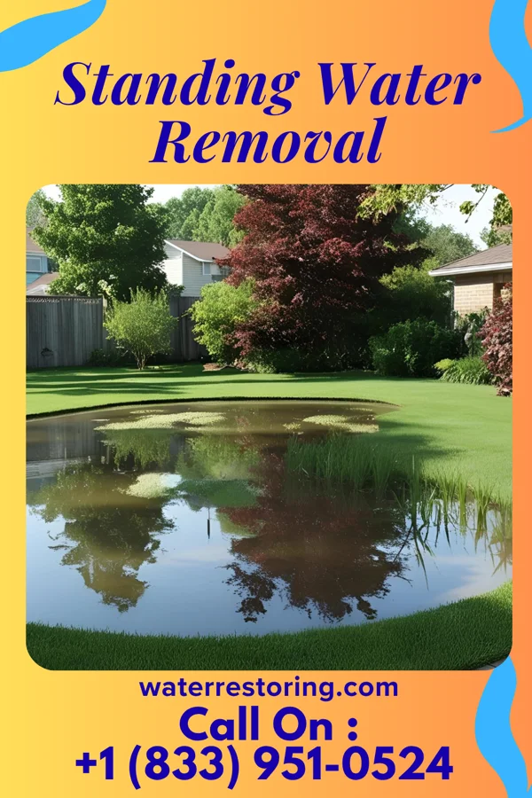 Standing Water Removal in Marengo, IL